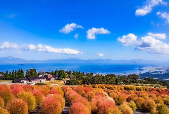 花の名所「びわこ箱館山」：琵琶湖のおすすめ観光スポット