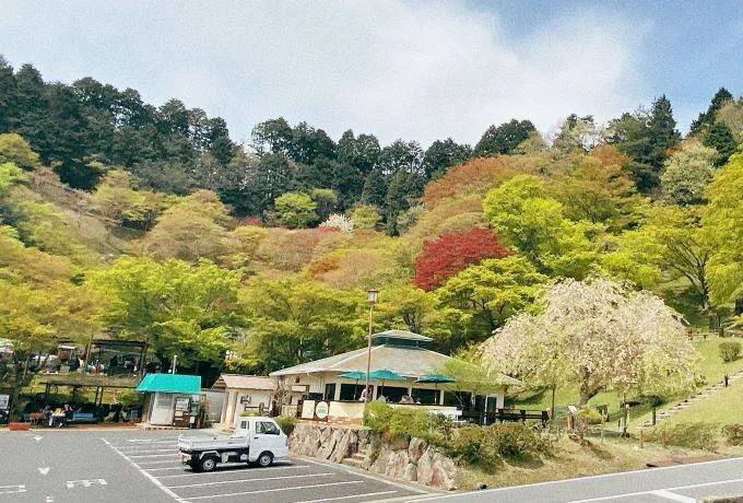【比叡山ドライブウェイの魅力】おすすめのルートや立ち寄りスポットをご紹介！