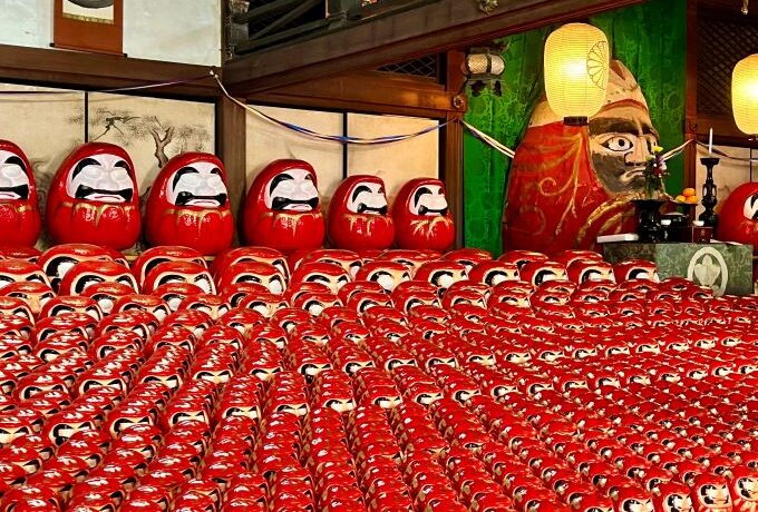 大小5,000体ものだるまが圧巻！彦根・龍潭寺 春のだるま祭り