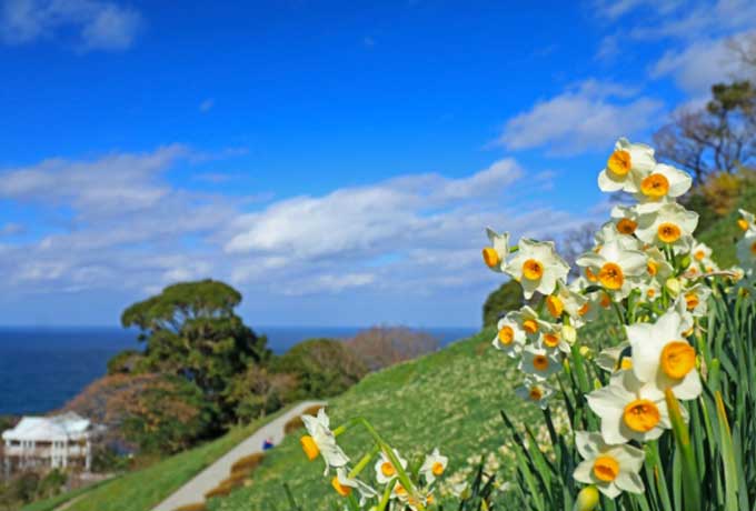 冬のお花見観光という贅沢。プライベートリゾートで過ごす上質な旅